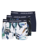 jj__4435257__front