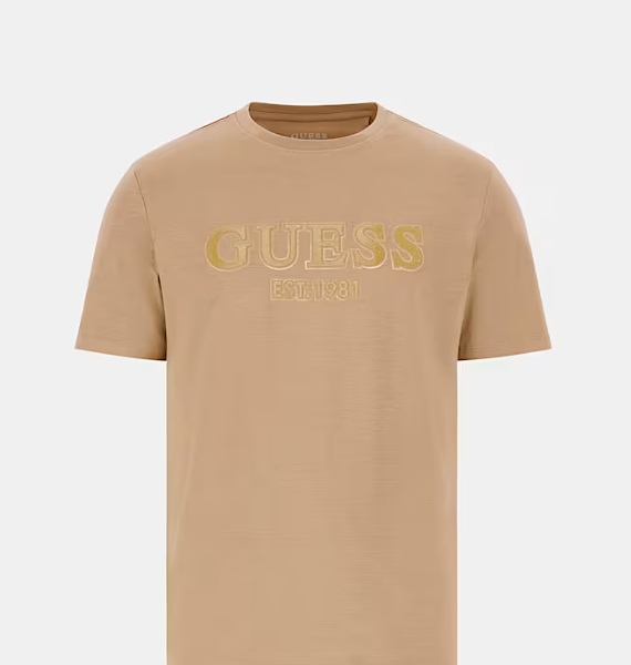 Camiseta Sprayed Beige Guess