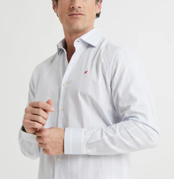 Camisa Raya Harvard Celeste Williot