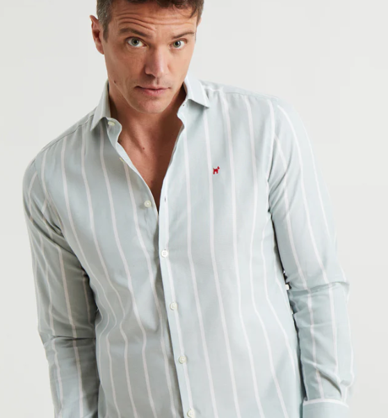 Camisa Raya Harvard Verde Williot