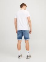 jj__4396163__back1