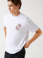 Captura_de_pantalla_2025-10-13_103711