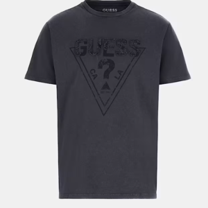 Camiseta Inset Gris Guess