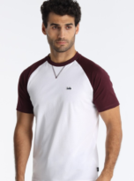 Captura_de_pantalla_2026-03-25_194544