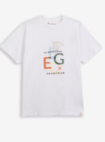 Captura_de_pantalla_2026-03-31_115242